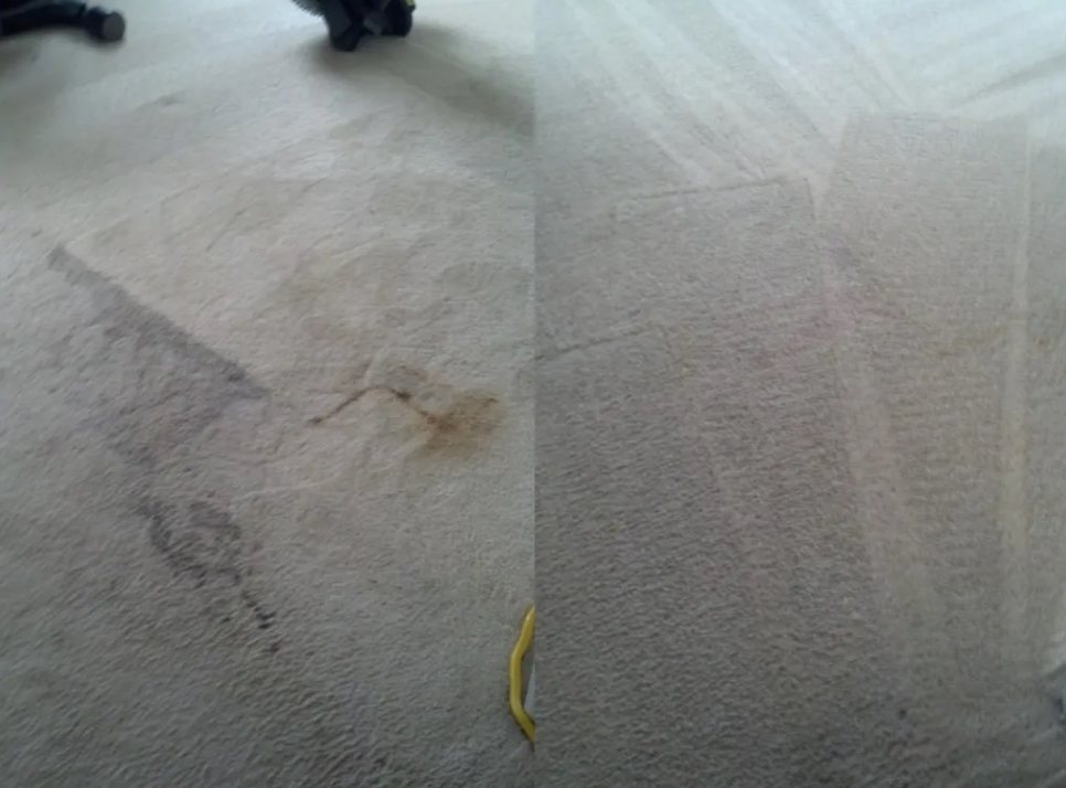 Before and after of a stained beige carpet after CitruSolution cleaning