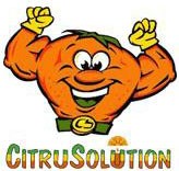 CitruSolution — muscular orange mascot with CS belt