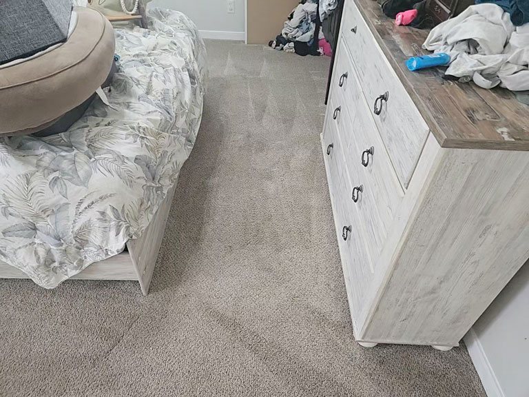 Bedroom carpet after pet-stain cleaning